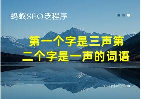 第一个字是三声第二个字是一声的词语