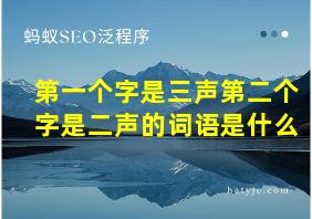 第一个字是三声第二个字是二声的词语是什么