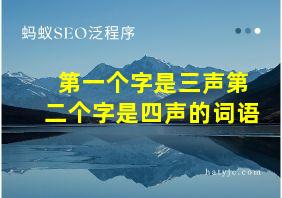 第一个字是三声第二个字是四声的词语