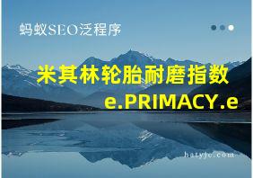 米其林轮胎耐磨指数 e.PRIMACY.e