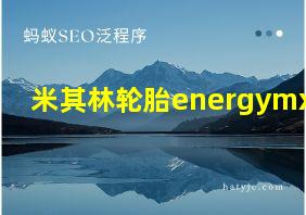 米其林轮胎energymxv8