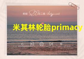 米其林轮胎primacy