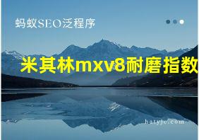 米其林mxv8耐磨指数