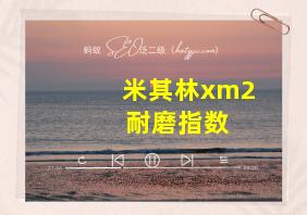 米其林xm2+ 耐磨指数