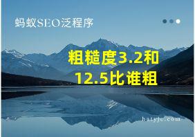 粗糙度3.2和12.5比谁粗