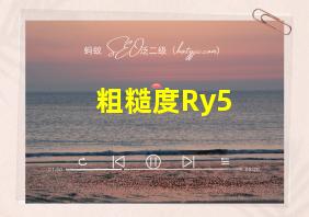 粗糙度Ry5