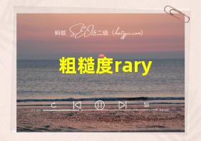 粗糙度rary