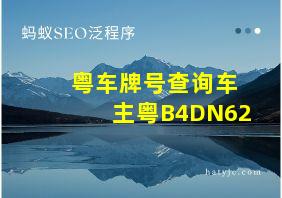 粤车牌号查询车主粤B4DN62