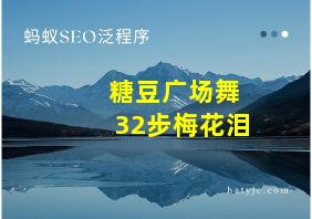 糖豆广场舞32步梅花泪