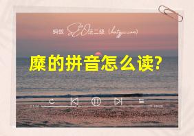 糜的拼音怎么读?