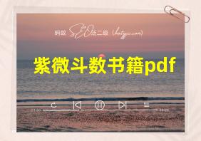 紫微斗数书籍pdf