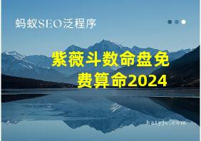 紫薇斗数命盘免费算命2024