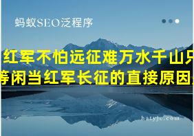 红军不怕远征难万水千山只等闲当红军长征的直接原因是