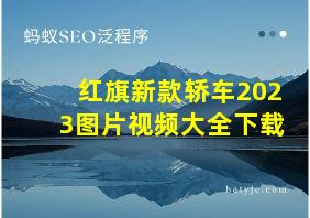 红旗新款轿车2023图片视频大全下载