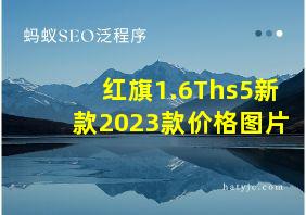 红旗1.6Ths5新款2023款价格图片