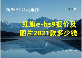 红旗e-hs9报价及图片2021款多少钱