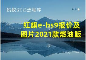 红旗e-hs9报价及图片2021款燃油版