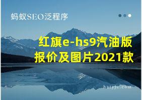 红旗e-hs9汽油版报价及图片2021款