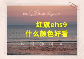 红旗ehs9什么颜色好看