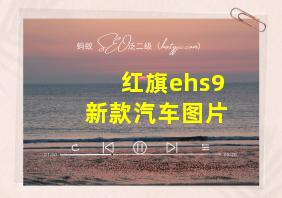 红旗ehs9新款汽车图片