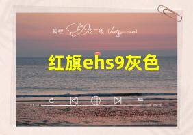 红旗ehs9灰色