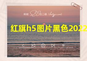 红旗h5图片黑色2022