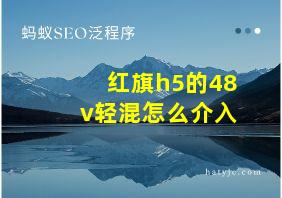 红旗h5的48v轻混怎么介入