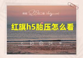 红旗h5胎压怎么看