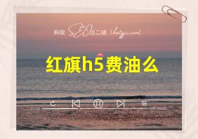 红旗h5费油么