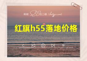 红旗h55落地价格