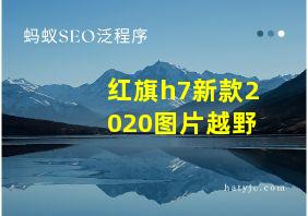 红旗h7新款2020图片越野