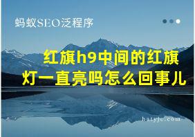 红旗h9中间的红旗灯一直亮吗怎么回事儿