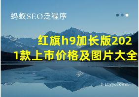 红旗h9加长版2021款上市价格及图片大全