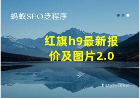 红旗h9最新报价及图片2.0