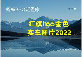 红旗hS5金色实车图片2022