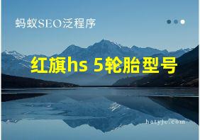 红旗hs 5轮胎型号