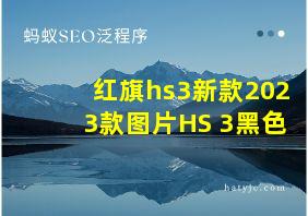 红旗hs3新款2023款图片HS 3黑色