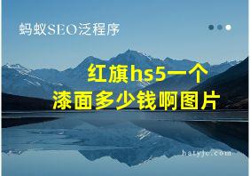 红旗hs5一个漆面多少钱啊图片