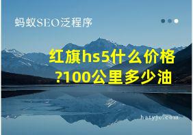 红旗hs5什么价格?100公里多少油