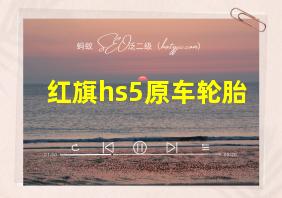 红旗hs5原车轮胎