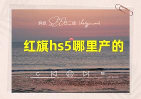 红旗hs5哪里产的