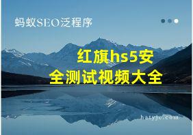 红旗hs5安全测试视频大全