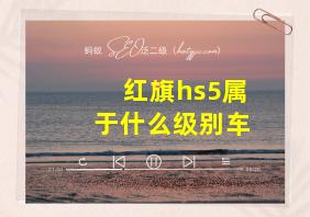 红旗hs5属于什么级别车