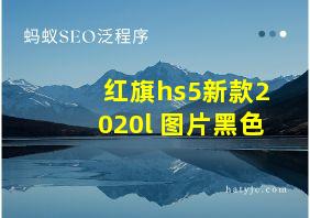 红旗hs5新款2020l 图片黑色