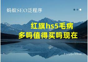 红旗hs5毛病多吗值得买吗现在