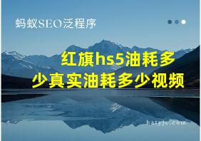 红旗hs5油耗多少真实油耗多少视频