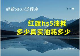 红旗hs5油耗多少真实油耗多少