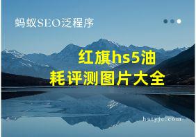 红旗hs5油耗评测图片大全