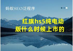 红旗hs5纯电动版什么时候上市的