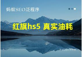 红旗hs5 真实油耗